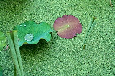 《沙丘：觉醒》PC配置公布 推荐RTX 3070显卡